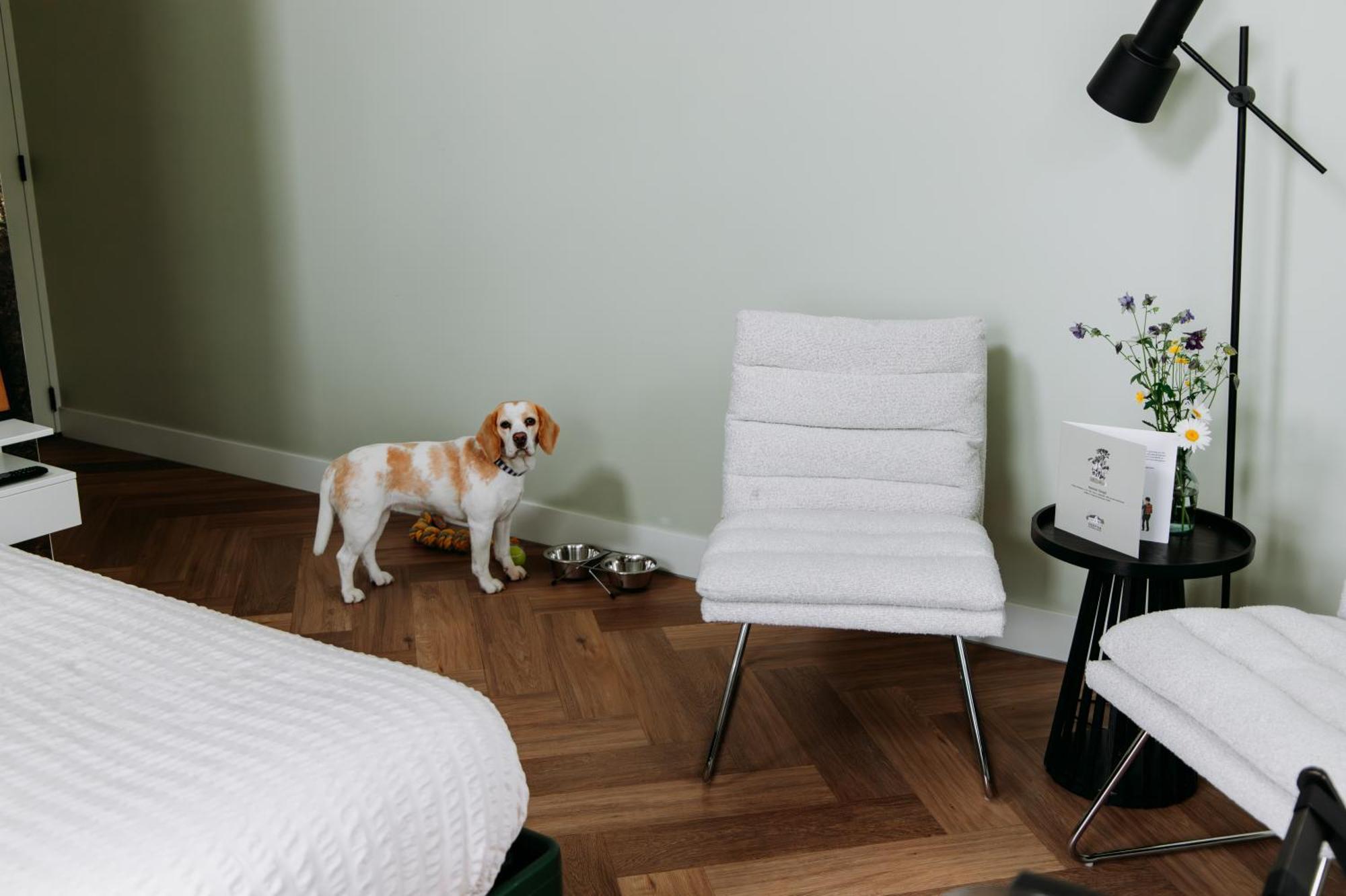 Boutique B&B Oud Aa 브뢰켈렌 외부 사진